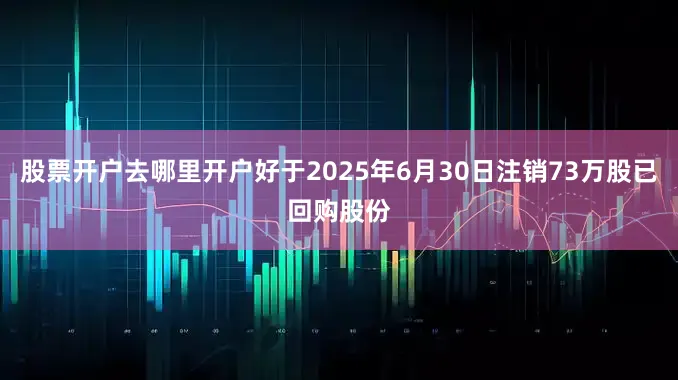股票开户去哪里开户好于2025年6月30日注销73万股已回购股份