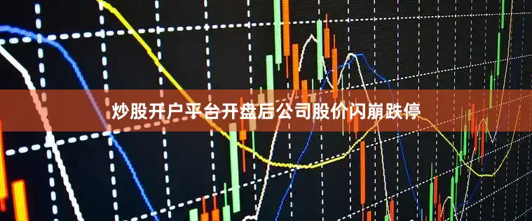 炒股开户平台开盘后公司股价闪崩跌停